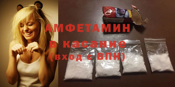 шишки Арсеньев