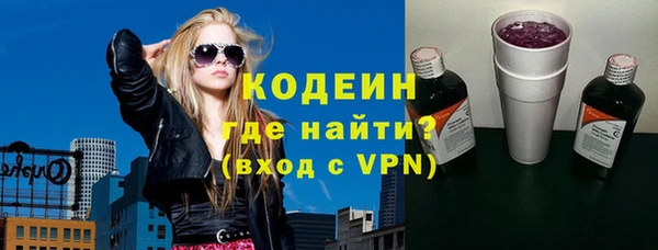 шишки Арсеньев