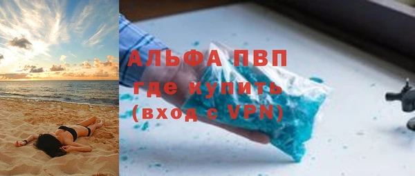 шишки Арсеньев