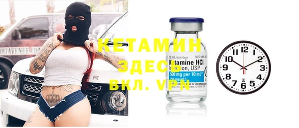 шишки Арсеньев