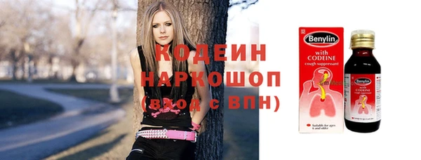 шишки Арсеньев