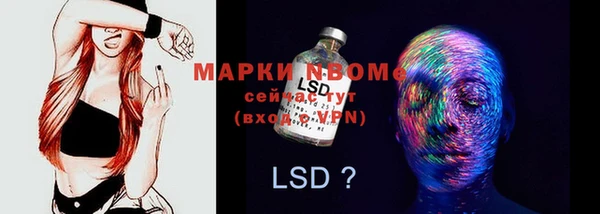 стафф Аркадак