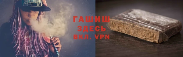 шишки Арсеньев