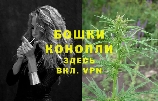 стафф Аркадак