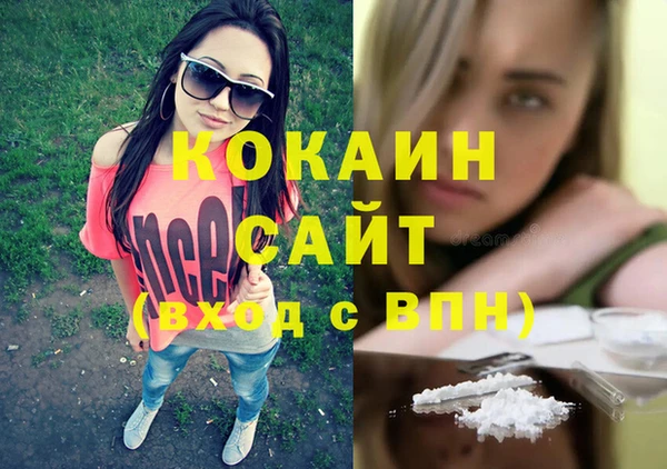 шишки Арсеньев