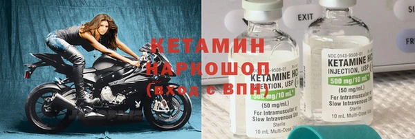 шишки Арсеньев