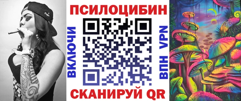 Псилоцибиновые грибы мицелий  закладка  Щигры 